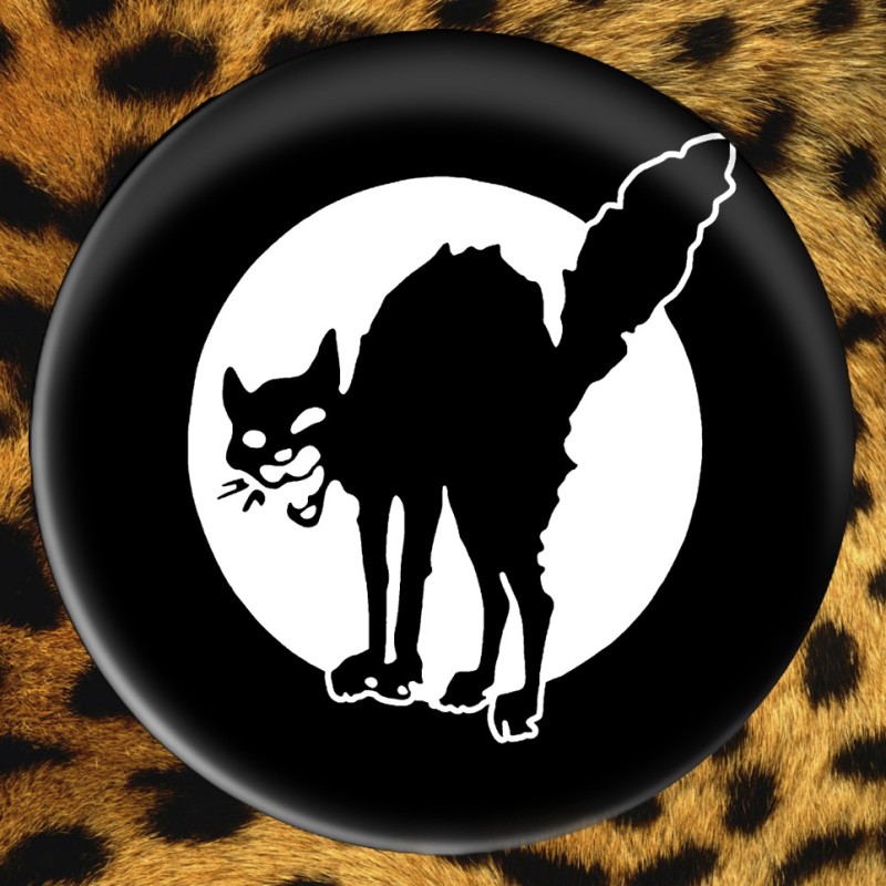 Chat Noir Chat Noir