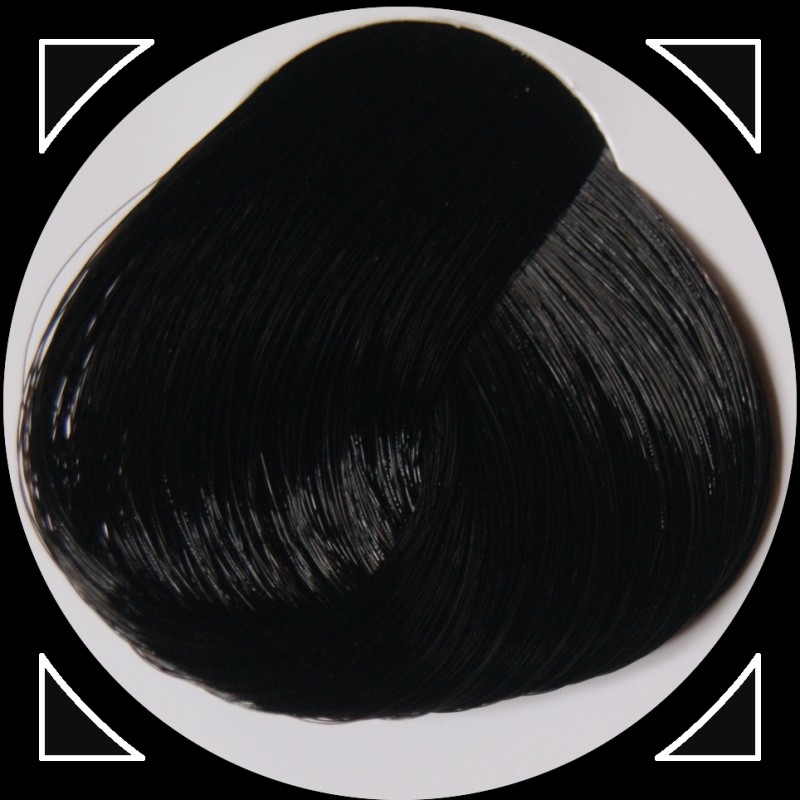 EBONY teinture cheveux LaRiché EBONY teinture cheveux LaRiché